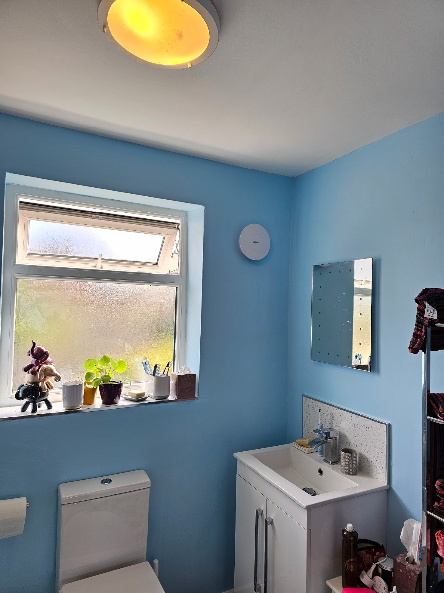 Painter and Decorator: Image 9
