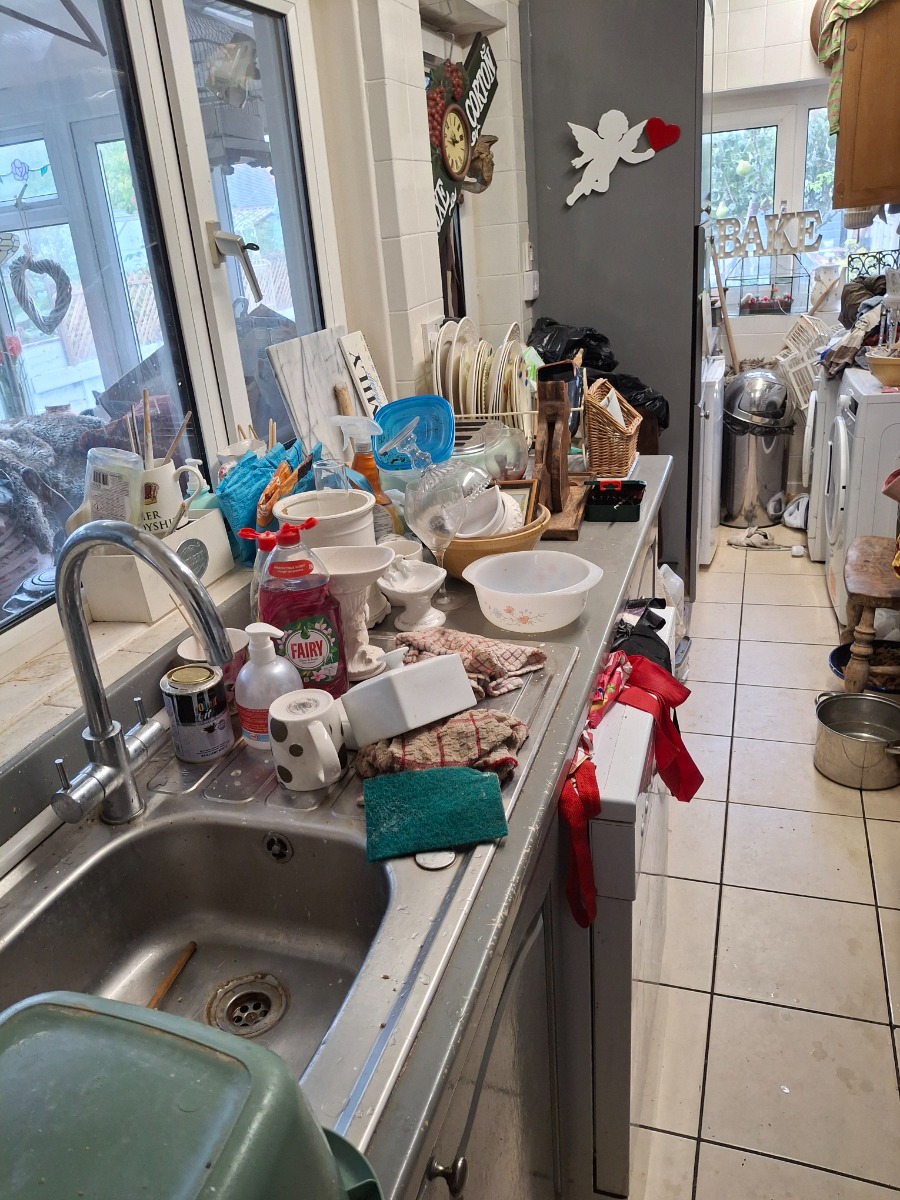 Cleaner: Image 4