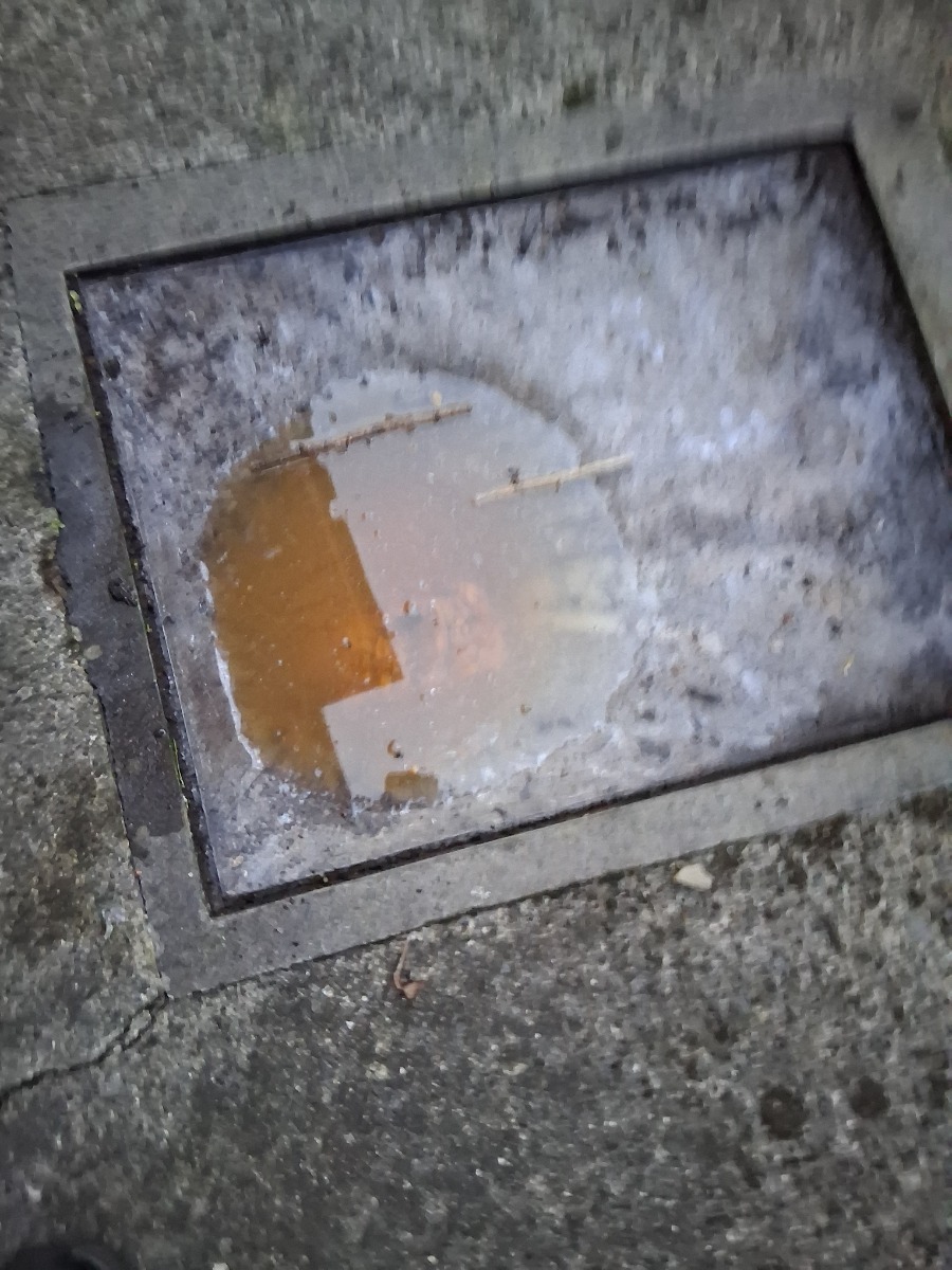 Drain Specialist: Image 1