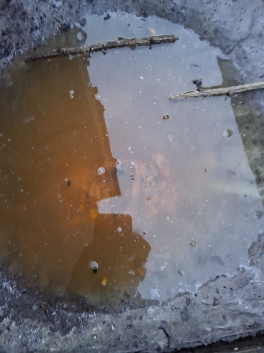 Drain Specialist: Image 2