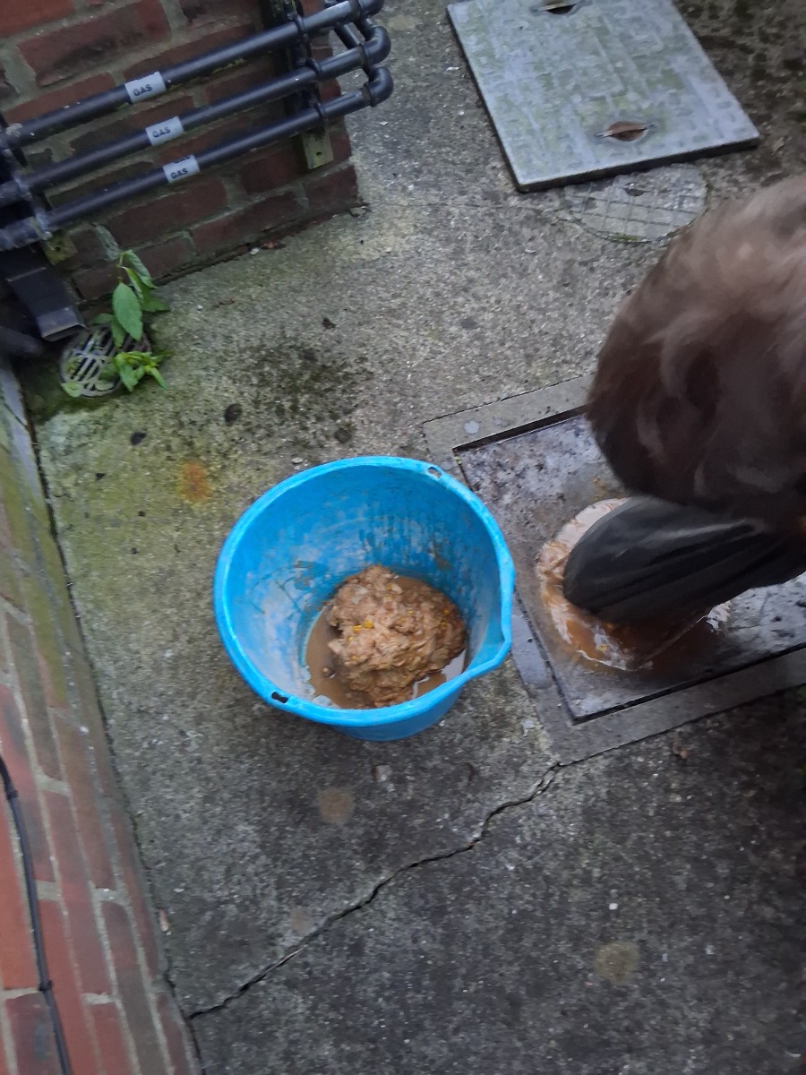 Drain Specialist: Image 4