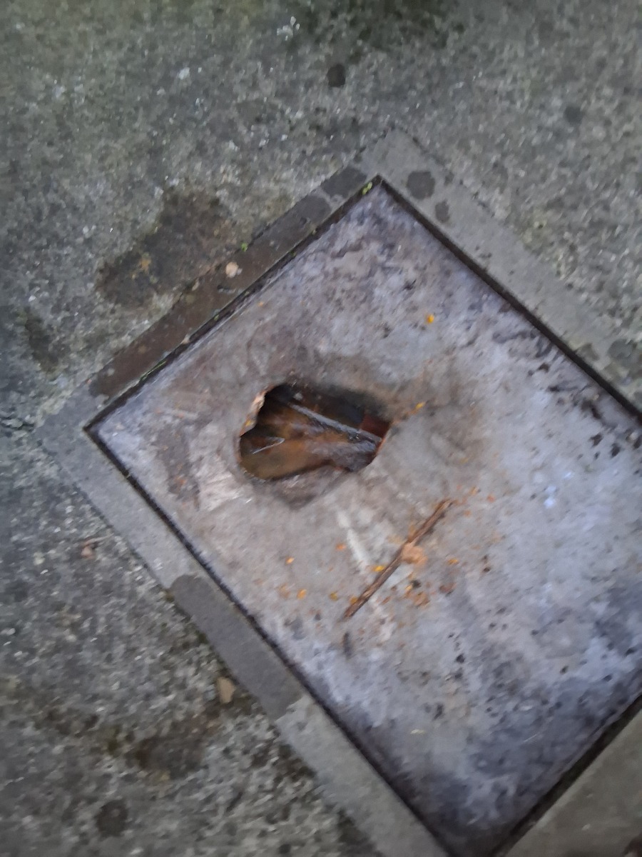 Drain Specialist: Image 5