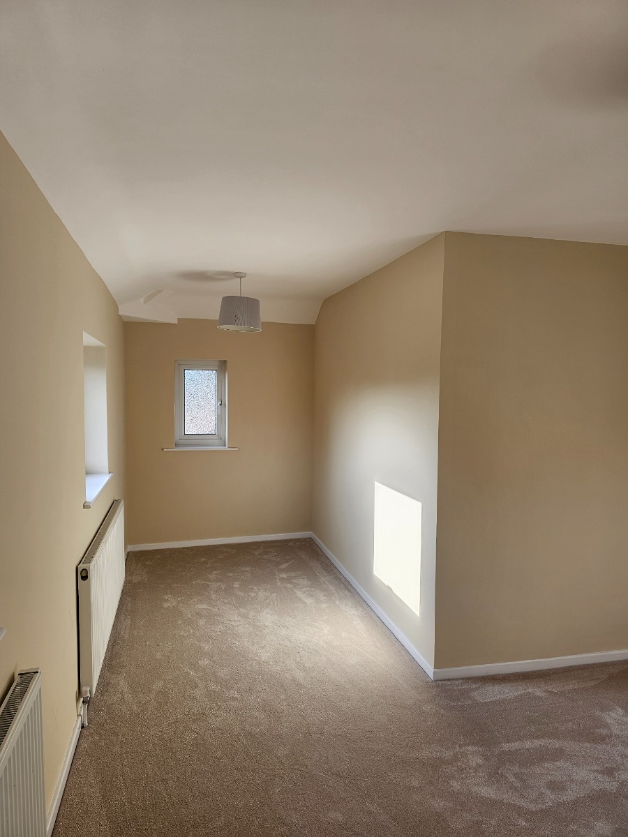 Painter and Decorator: Image 6
