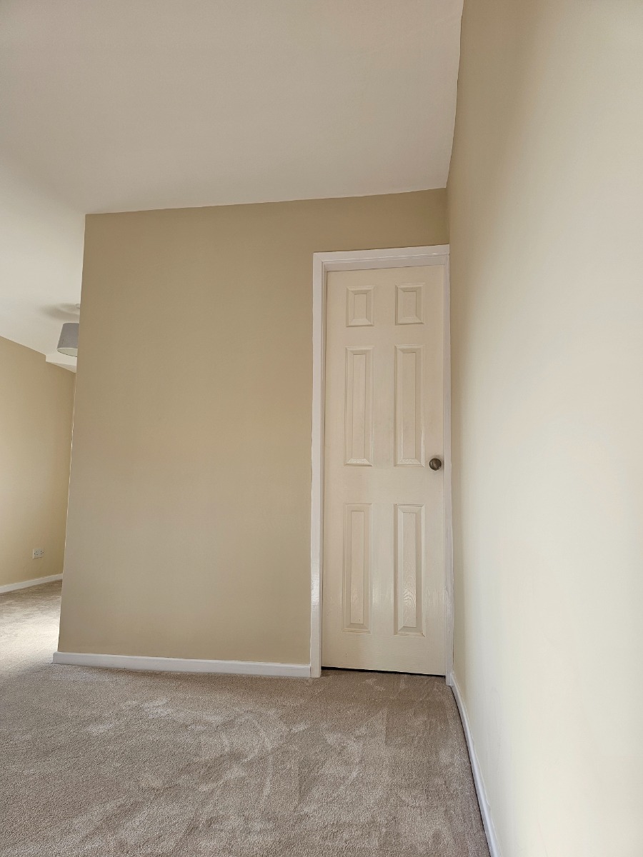 Painter and Decorator: Image 5