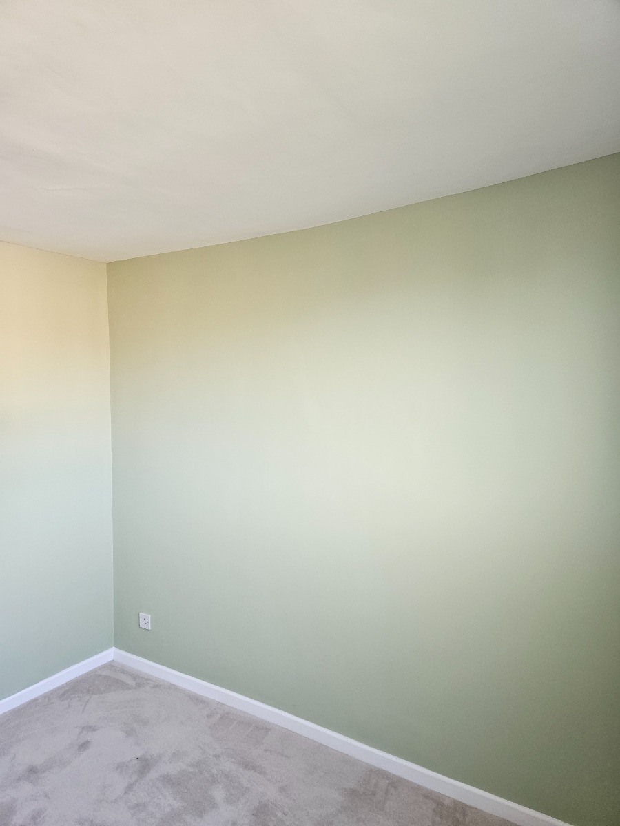 Painter and Decorator: Image 4