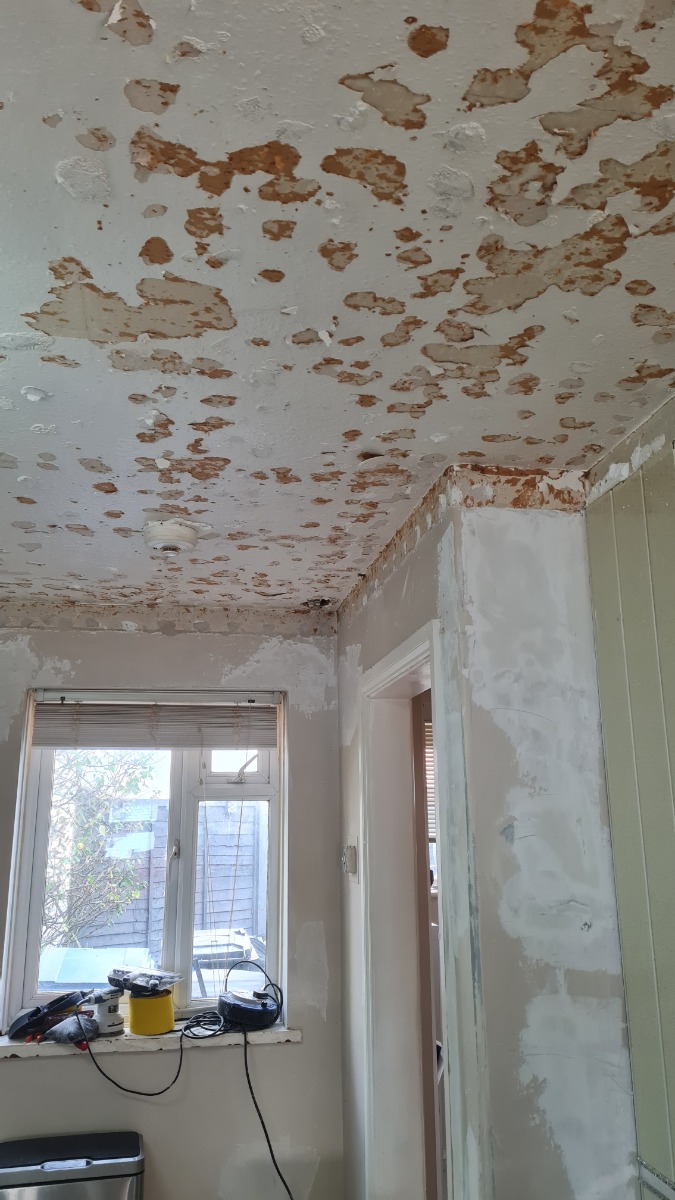 Painter and Decorator: Image 10
