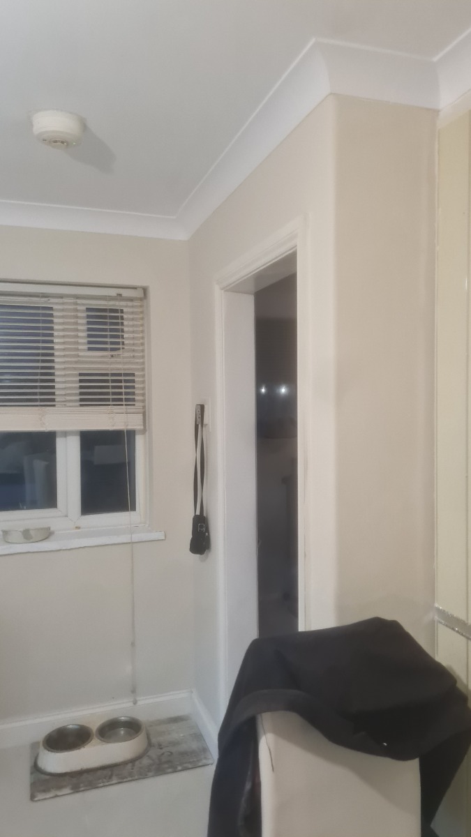 Painter and Decorator: Image 11