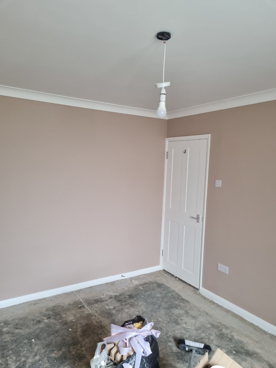 Painter and Decorator: Image 92