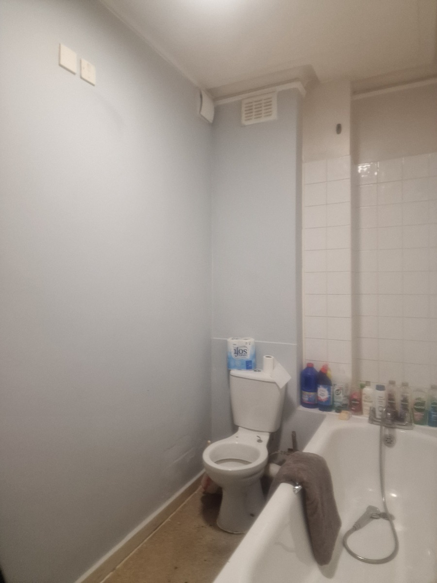Painter and Decorator: Image 4