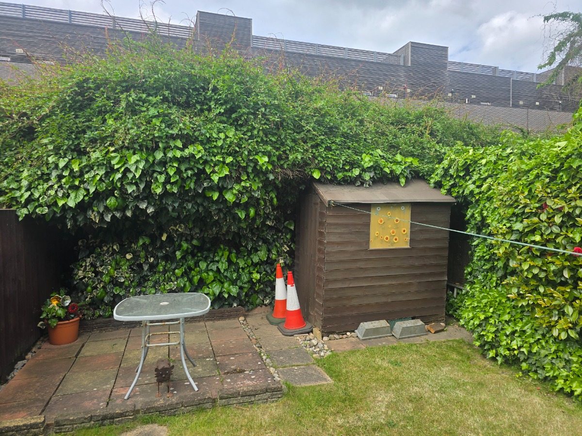 Gardener: Image 5