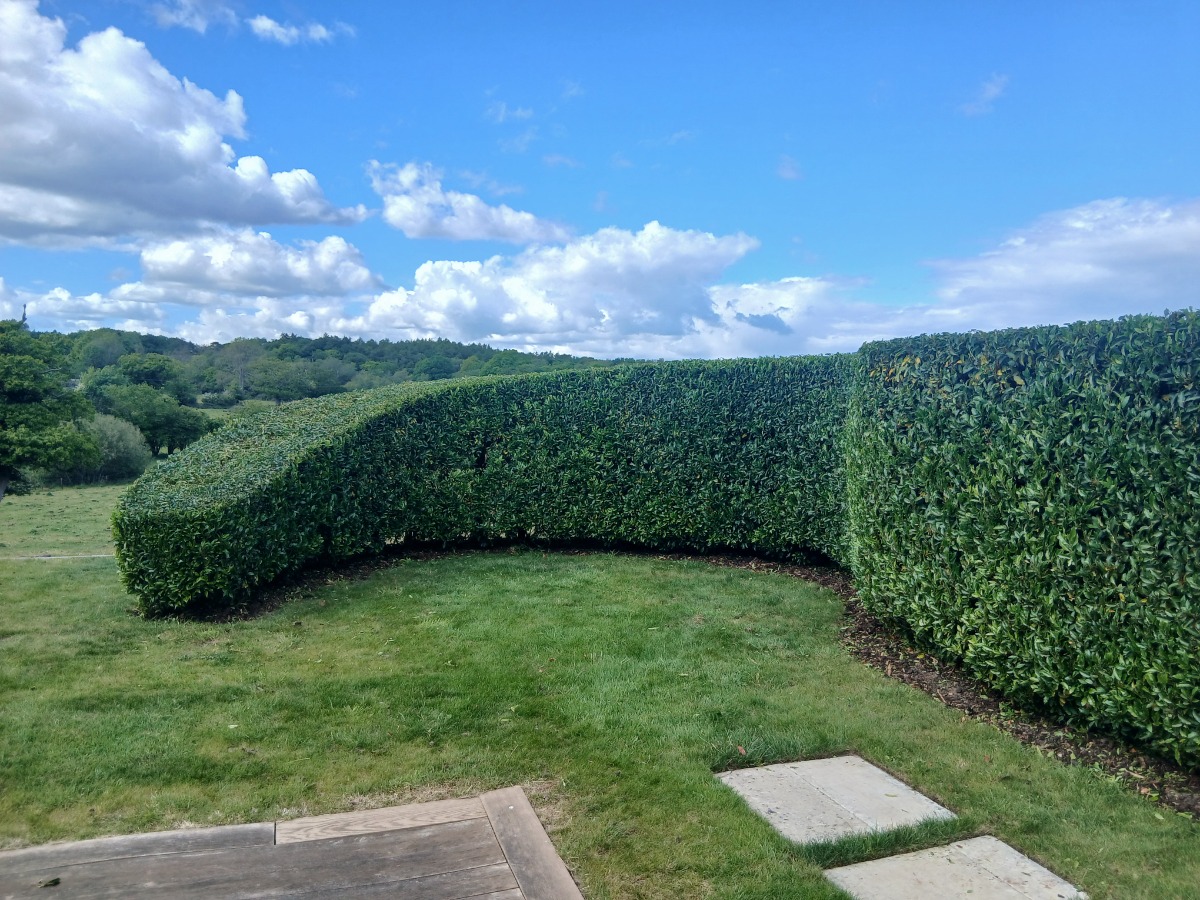 Landscaper: Image 13
