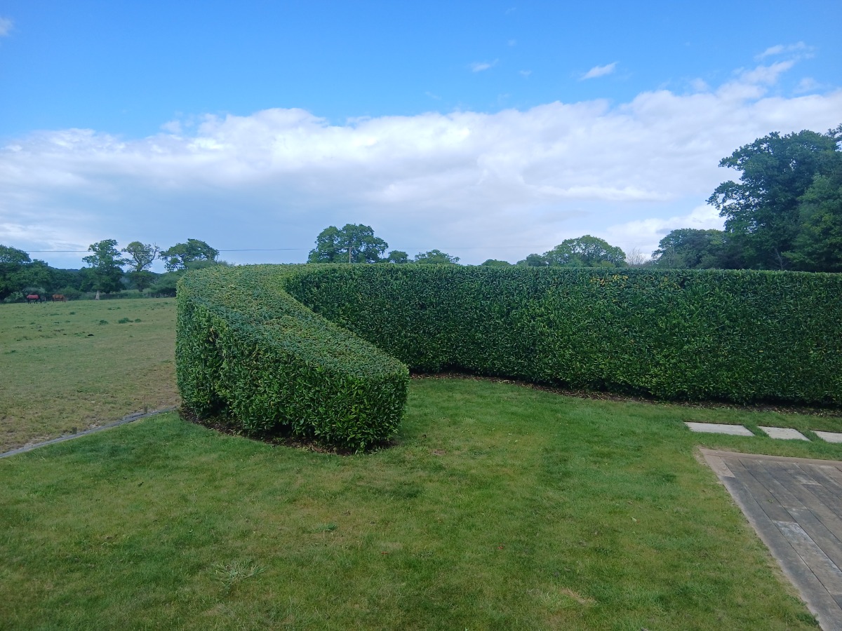 Landscaper: Image 12