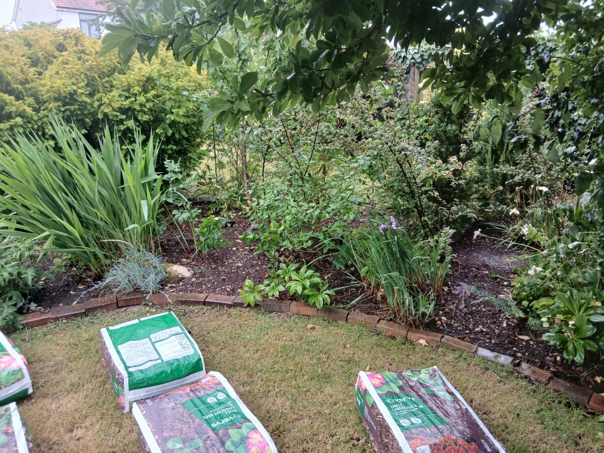 Landscaper: Image 6