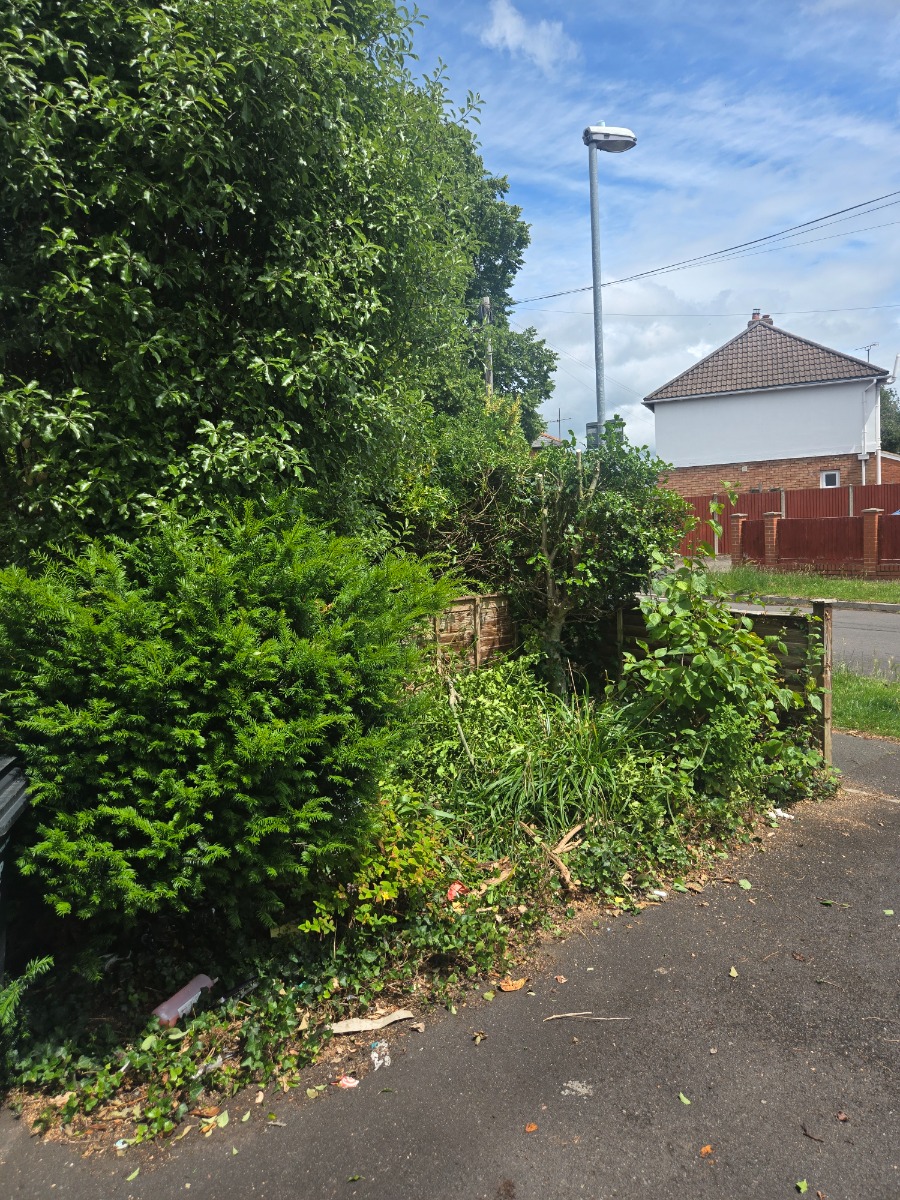 Gardener: Image 1