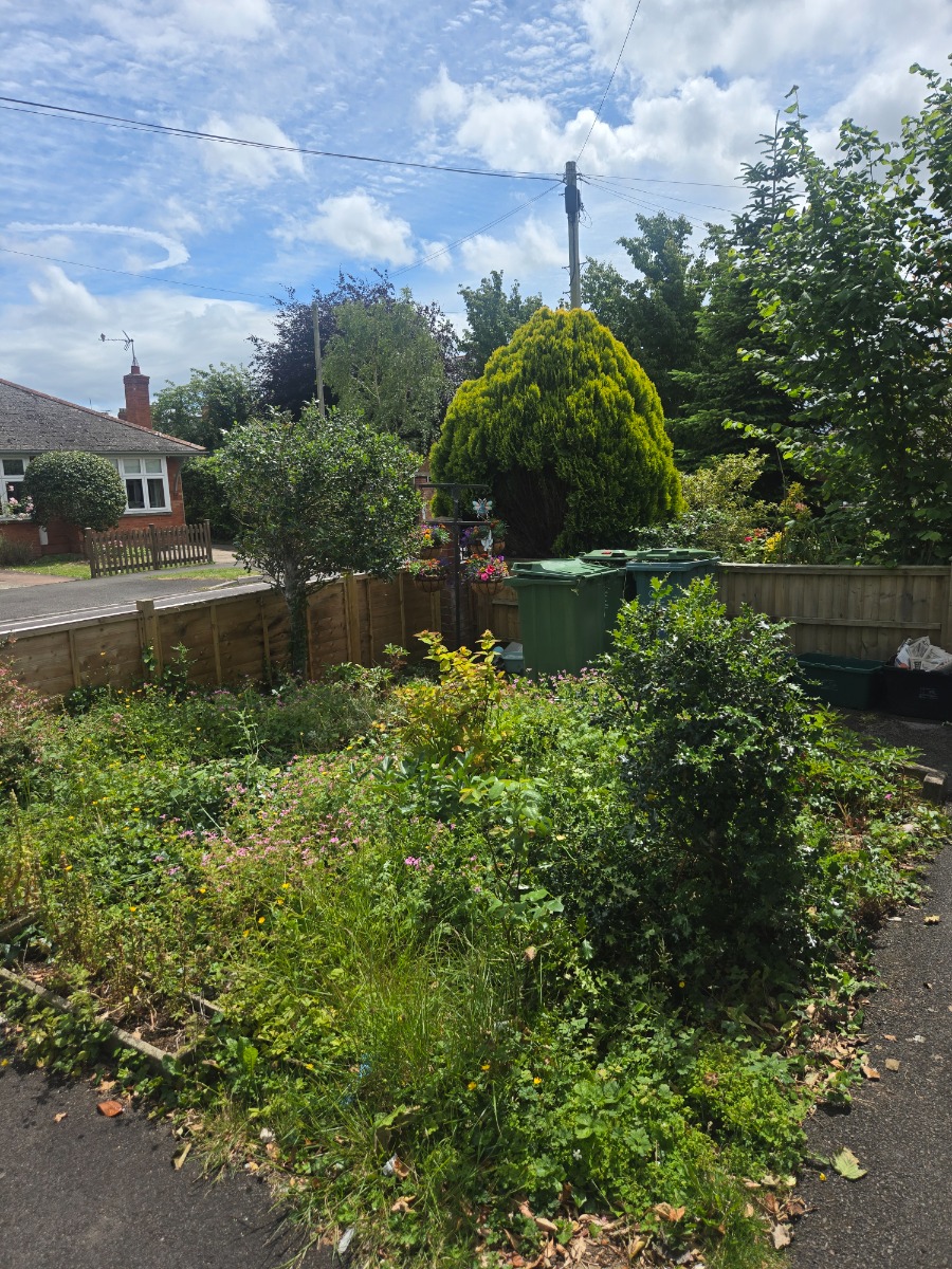 Gardener: Image 2