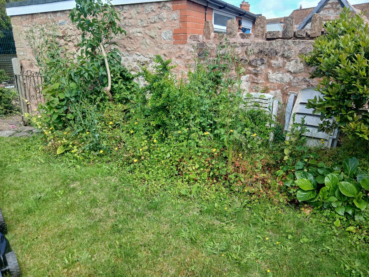 Landscaper: Image 4