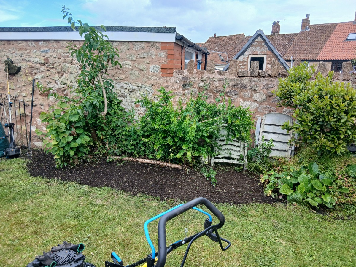 Landscaper: Image 5