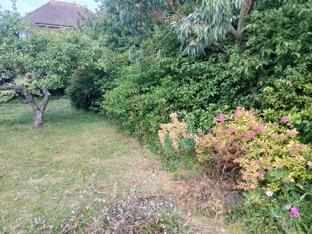 Landscaper: Image 3