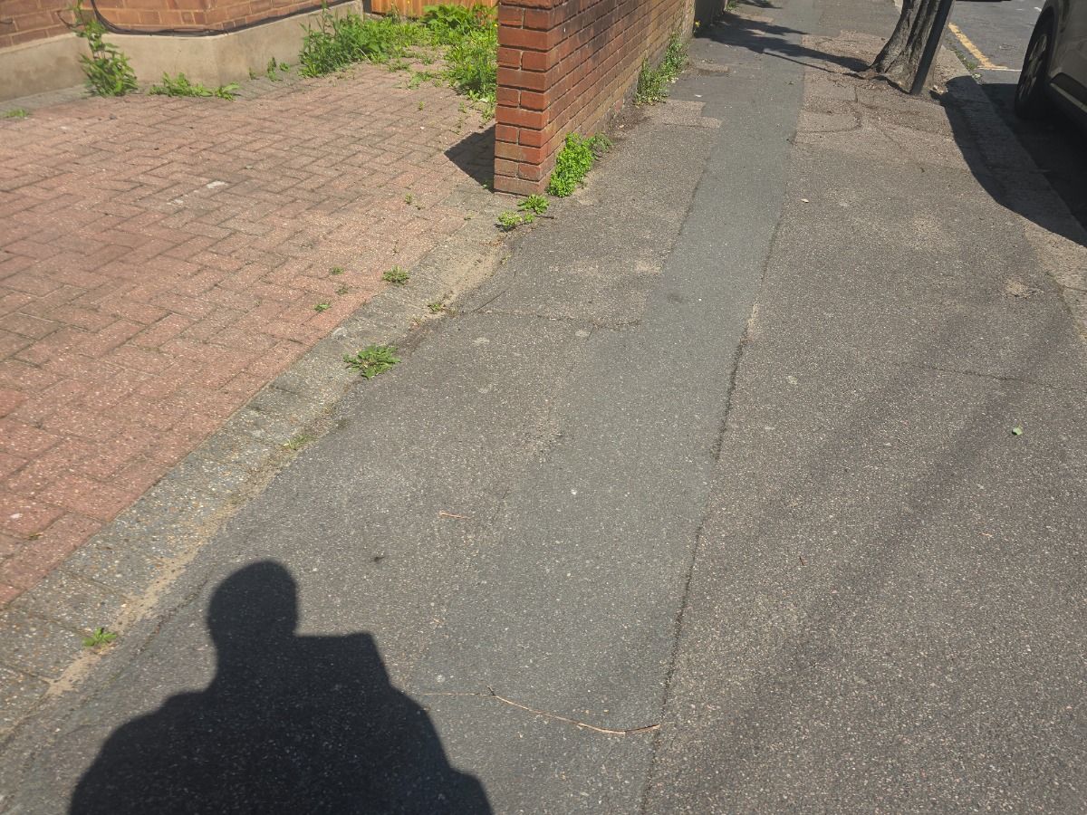 Gardener: Image 9