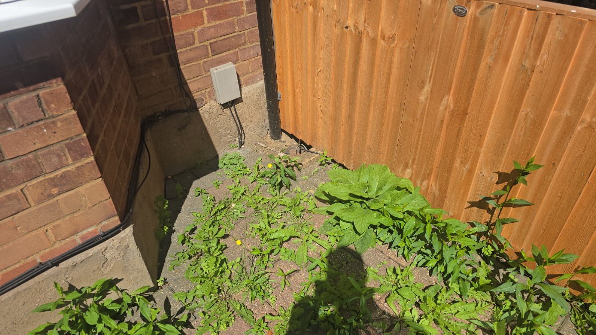 Gardener: Image 7