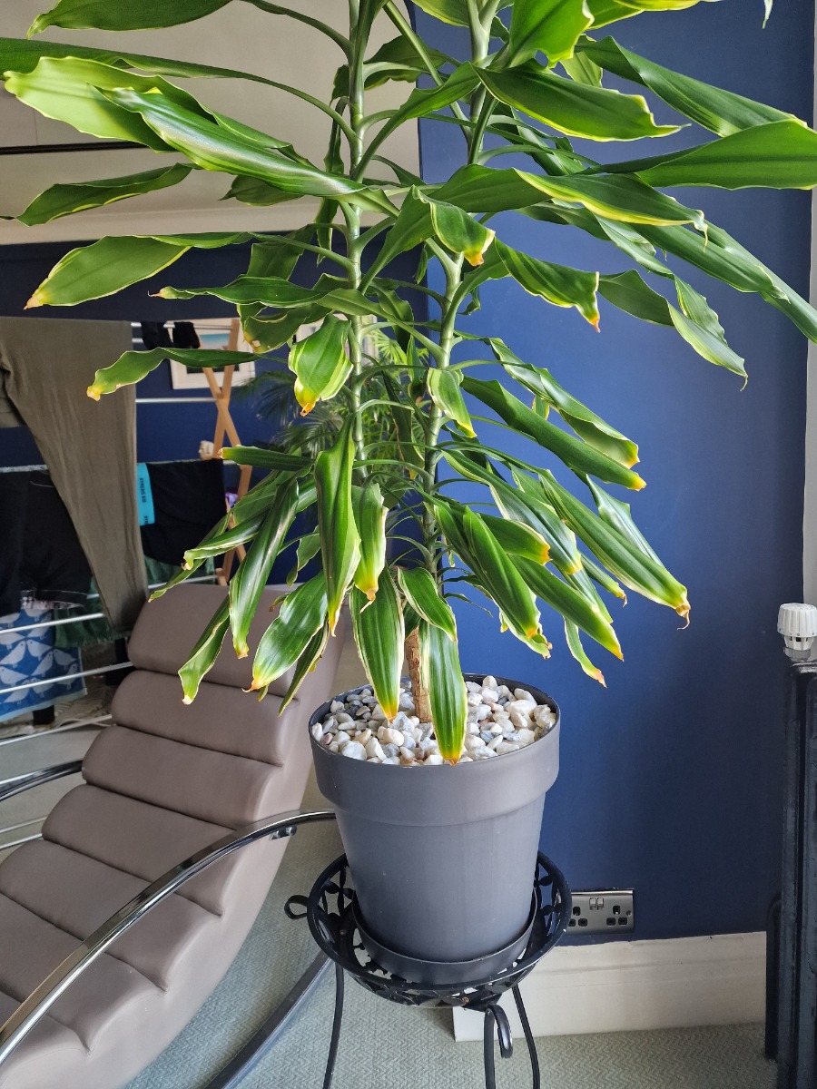 Gardener: Image 9