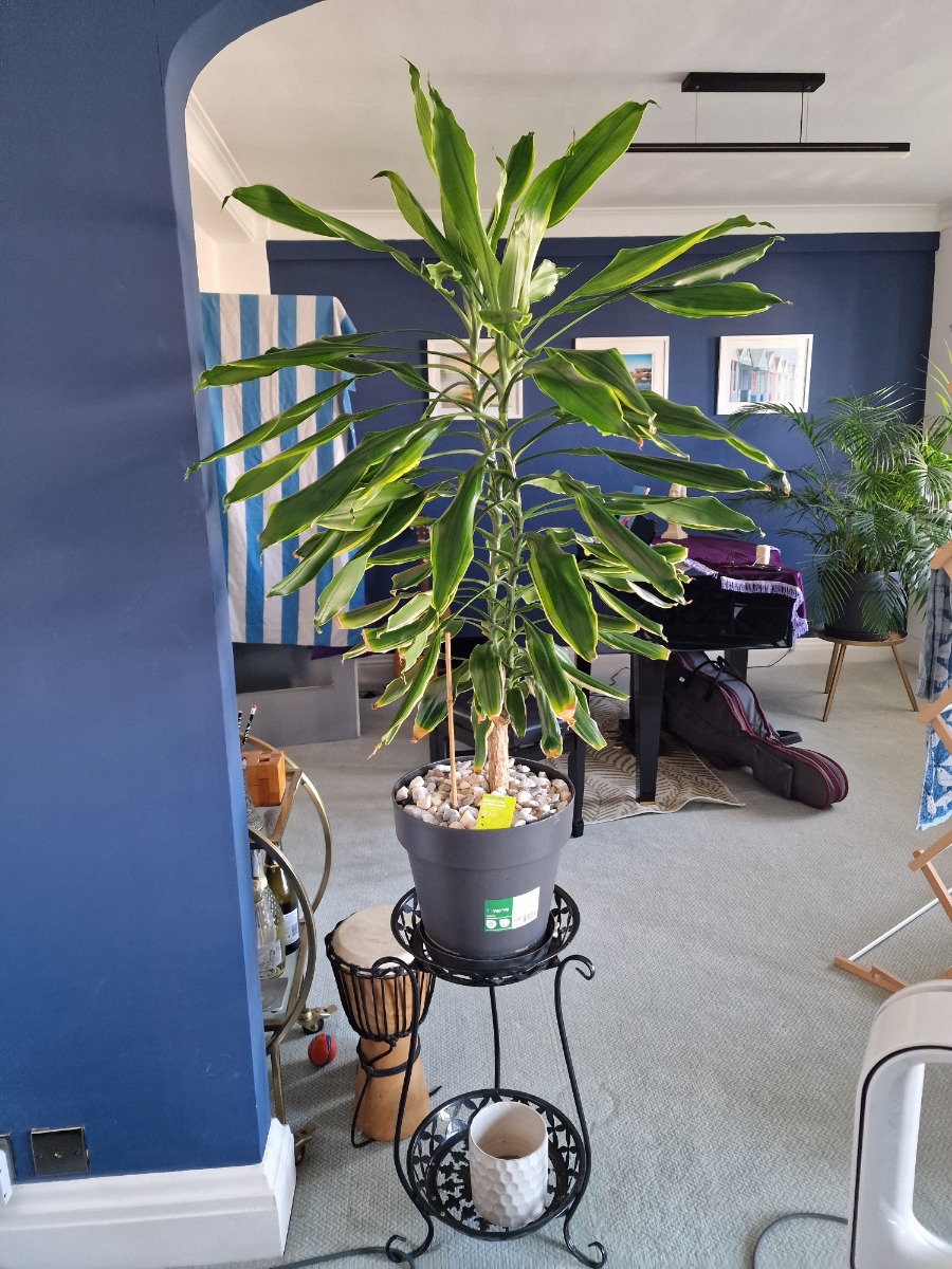 Gardener: Image 10