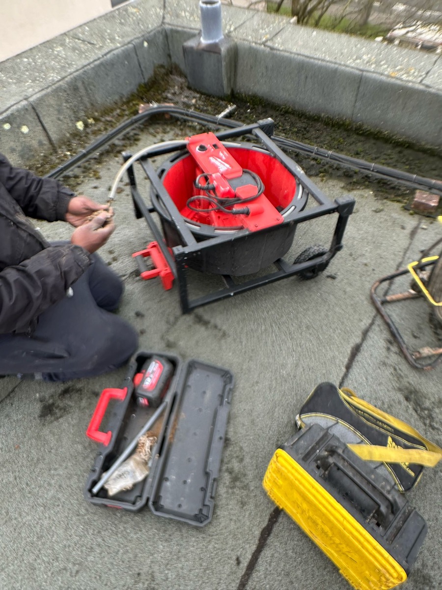 Drain Specialist: Image 3