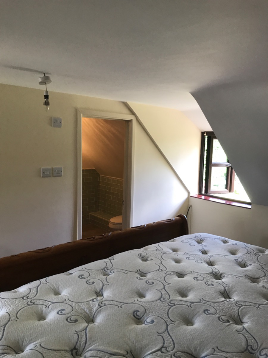 Painter and Decorator: Image 5