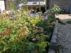 Gardener: Image 1