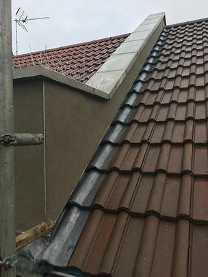 Profile: Image 6