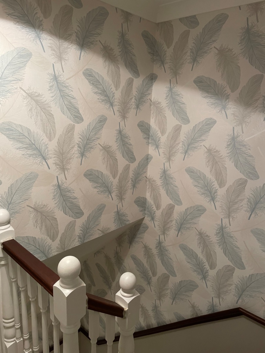 Painter and Decorator: Image 14