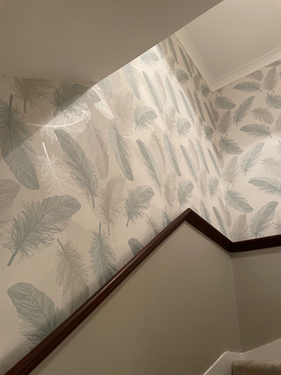 Painter and Decorator: Image 15