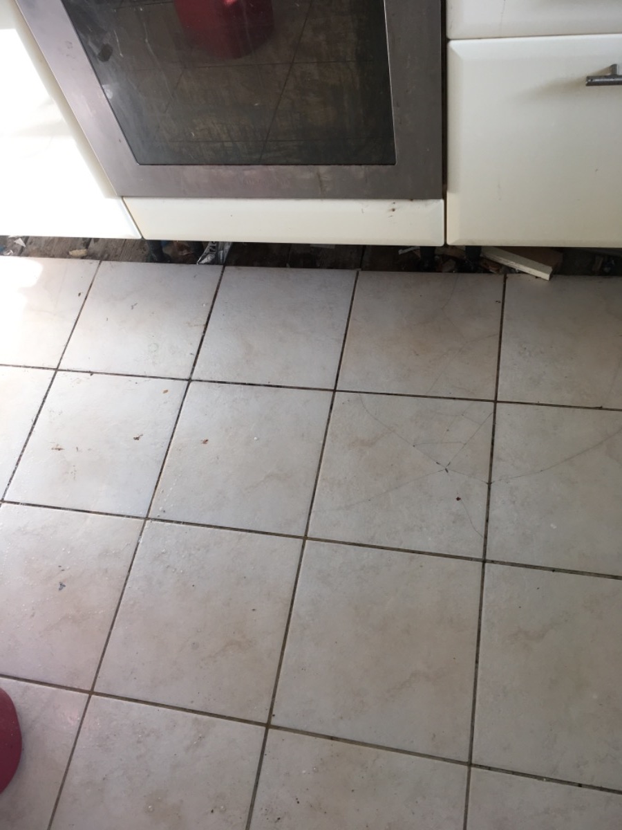Company: Image 6