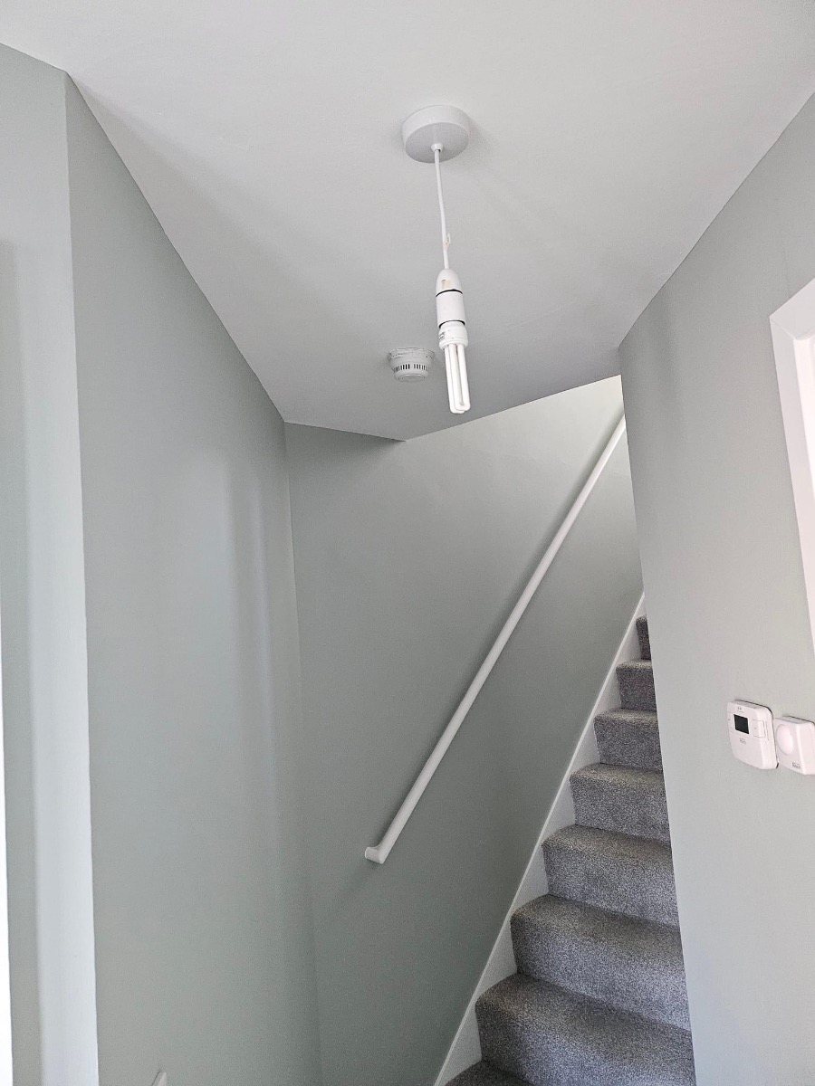Painter and Decorator: Image 6