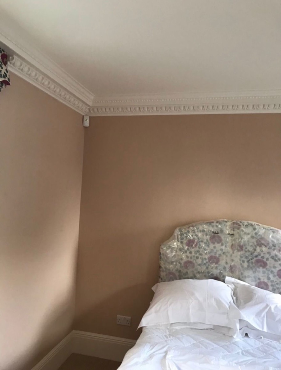 Painter and Decorator: Image 12