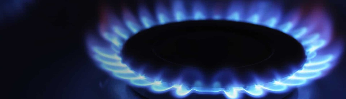 Profile: Image 3