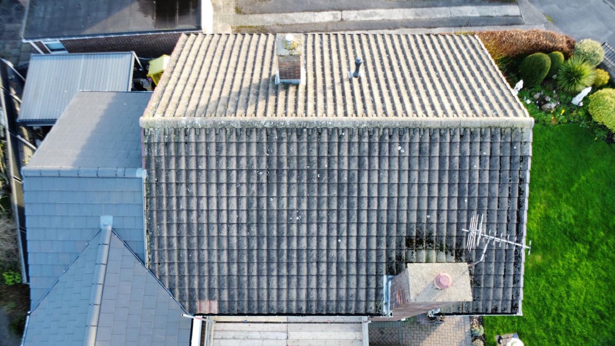 Company: Image 2