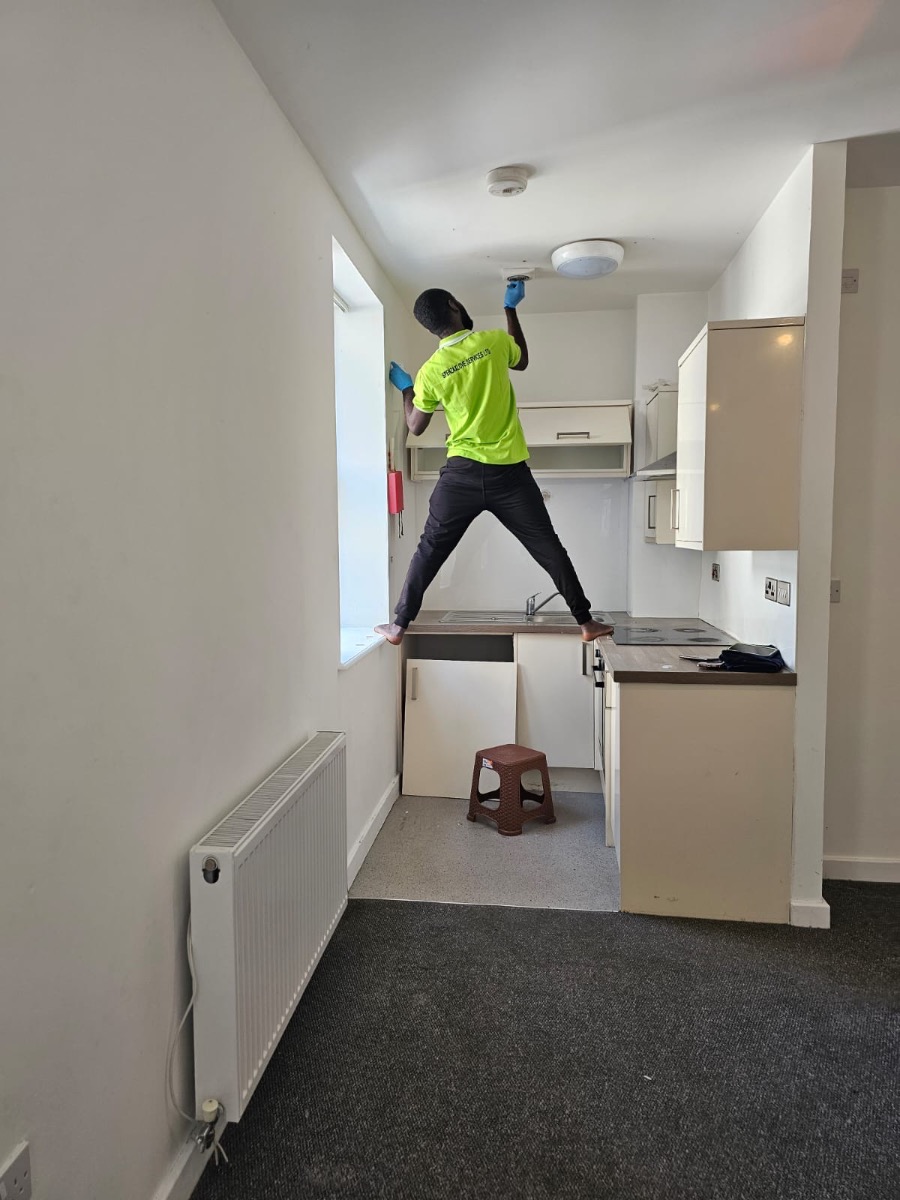 Cleaner: Image 1