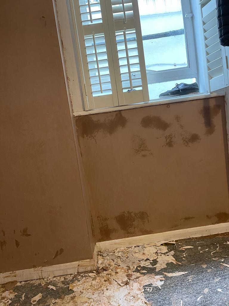 Plasterer: Image 270