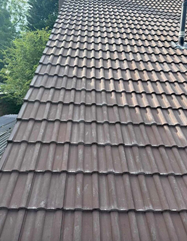 Roofer: Image 65