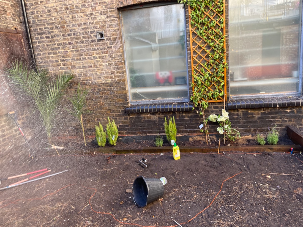 Gardener: Image 1