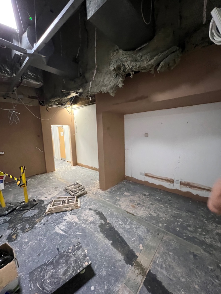 Plasterer: Image 259