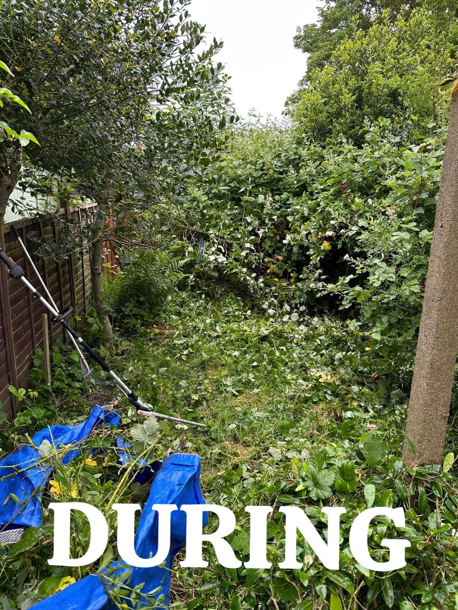 Gardener: Image 5