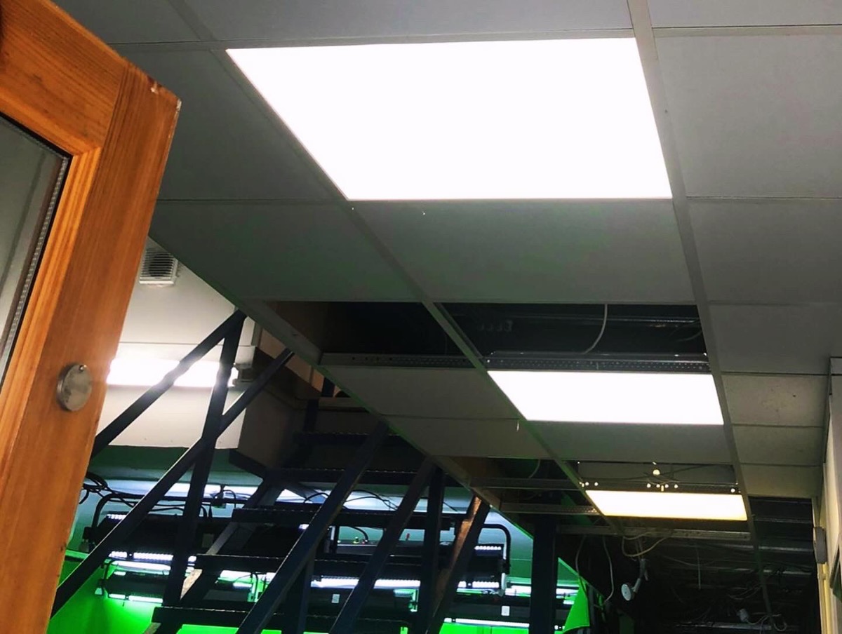 Electrician: Image 36