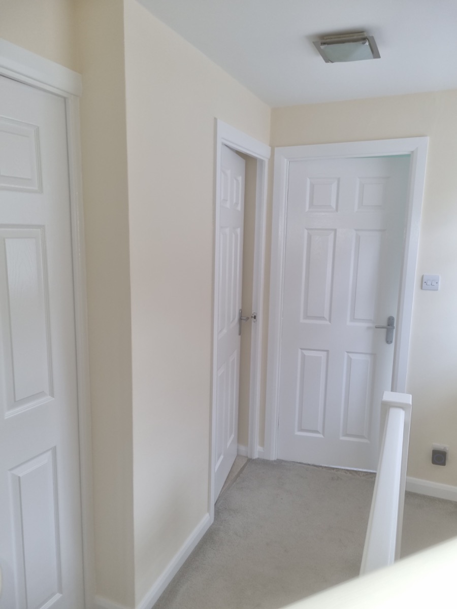 Painter and Decorator: Image 15