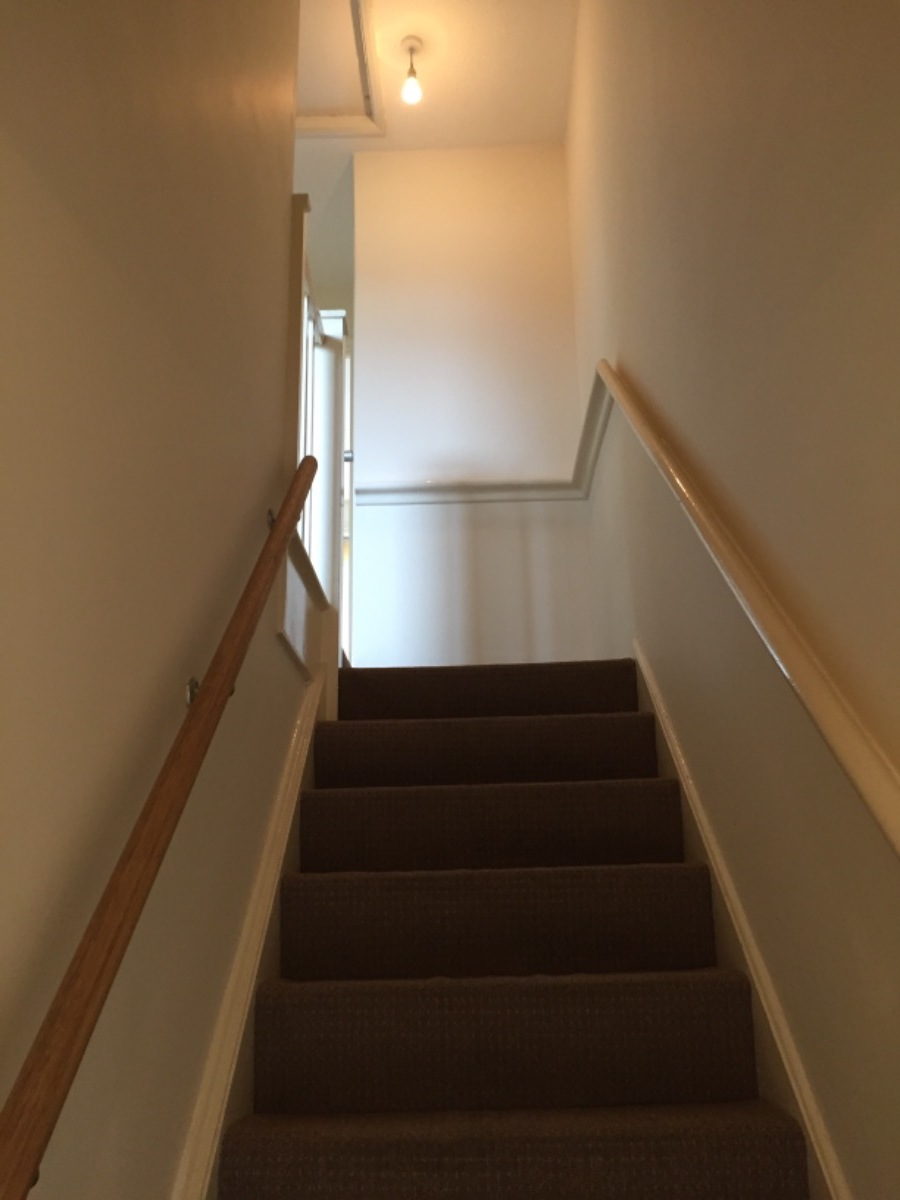 Painter and Decorator: Image 2