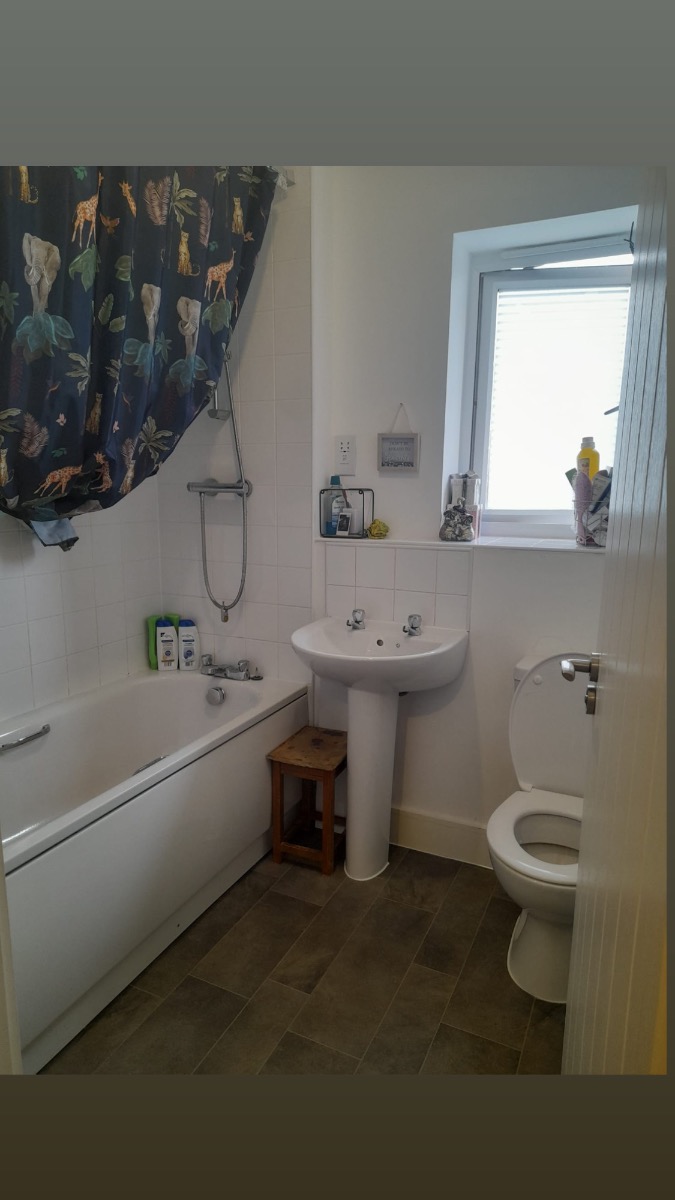 Cleaner: Image 1