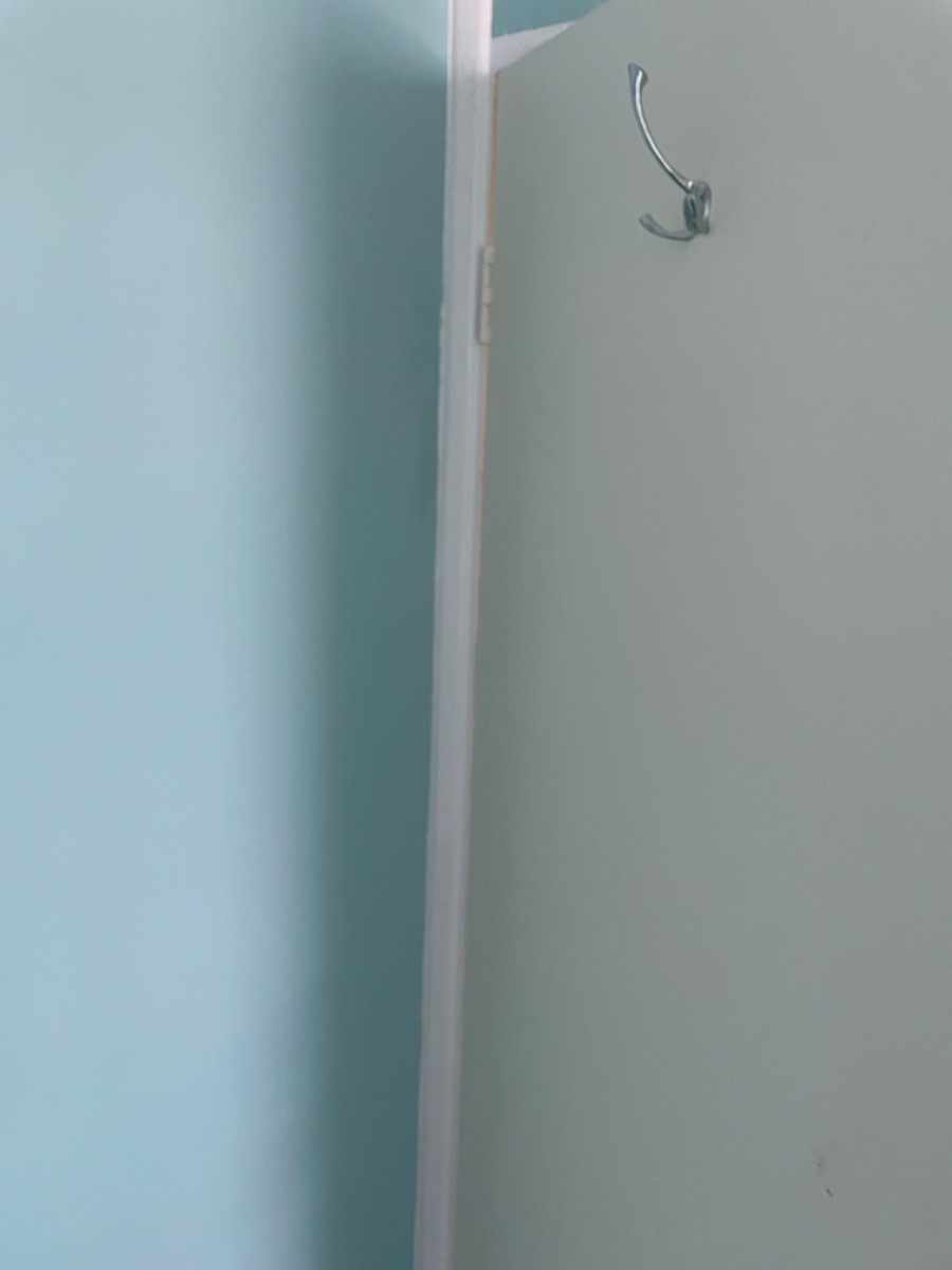 Painter and Decorator: Image 6