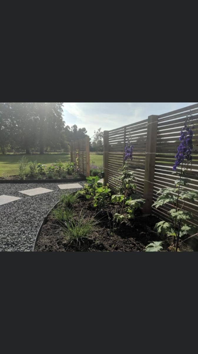 Company: Image 12