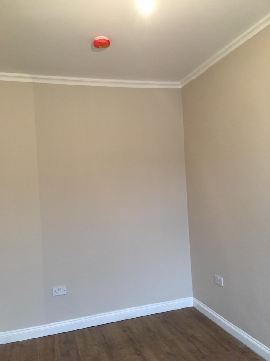 Painter and Decorator: Image 4